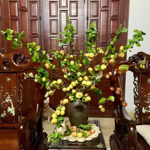 Hướng dẫn cách cắm cành táo mèo trưng phòng khách