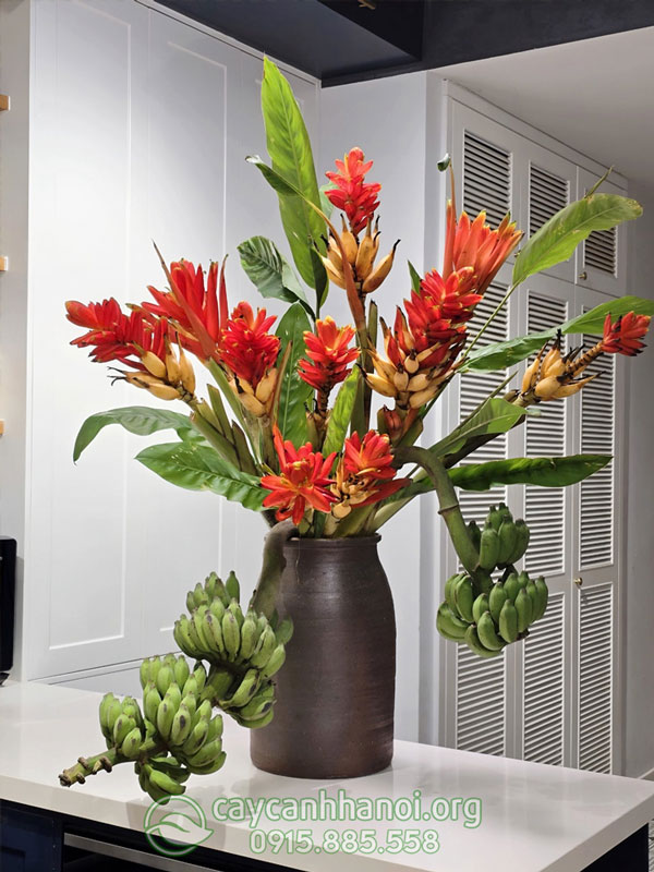 Nhược điểm khi cắm bình hoa chuối rừng đỏ