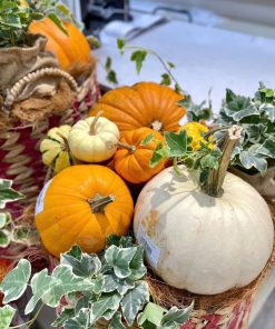 quả bí ngô làm thức ăn bổ dưỡng sau Halloween
