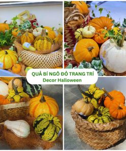 quả bí ngô trang trí Halloween