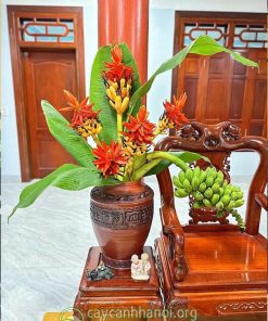 Tác dụng của hoa chuối rừng