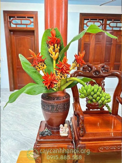 Tác dụng của hoa chuối rừng