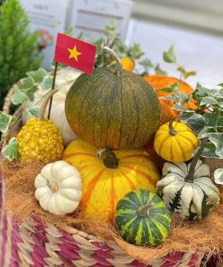 Ý nghĩa của quả bí ngô trong lễ hội Halloween