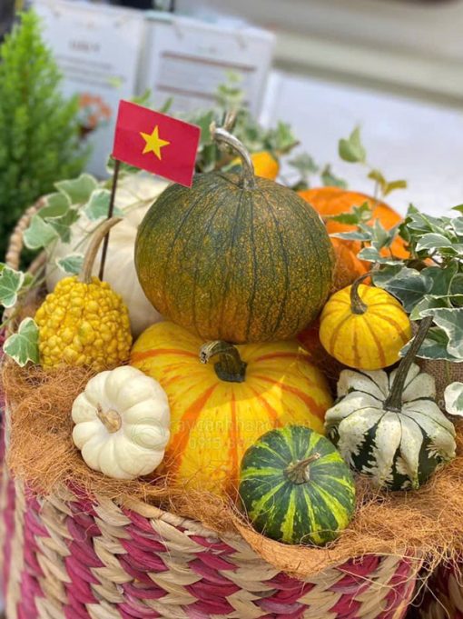 Ý nghĩa của quả bí ngô trong lễ hội Halloween