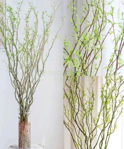 Cách chăm sóc cảnh salix tươi lâu