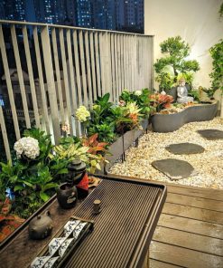 Cách chọn cây trang trí ban công chung cư đẹp