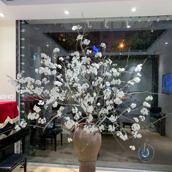 Cành lê chơi Tết