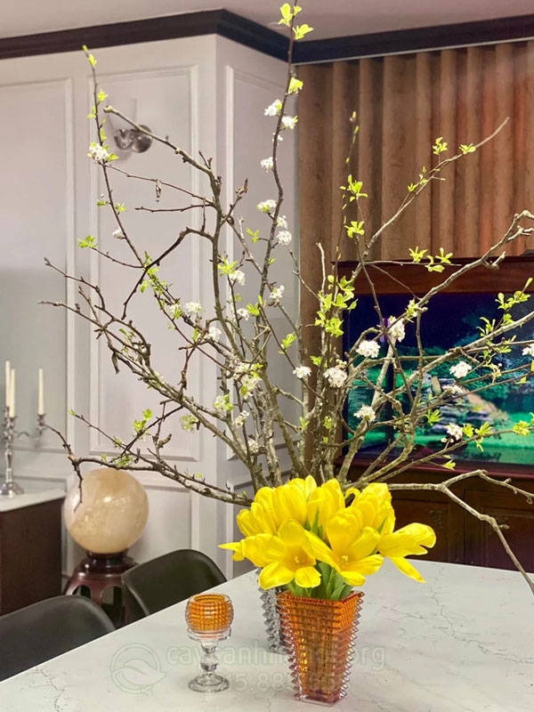 Cành lee rừng nở hoa