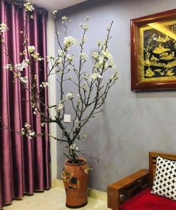 cành lê rừng trang trí phòng khách