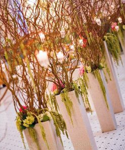 Cành liễu đỏ xoăn ứng dụng trong cắm hoa nghệ thuật