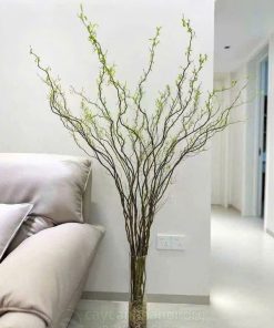 Cành liễu xoăn cắm bình