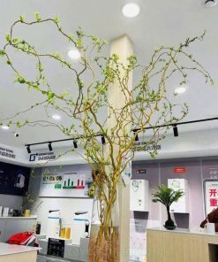 Cành salix cắm bình trang trí nội thát