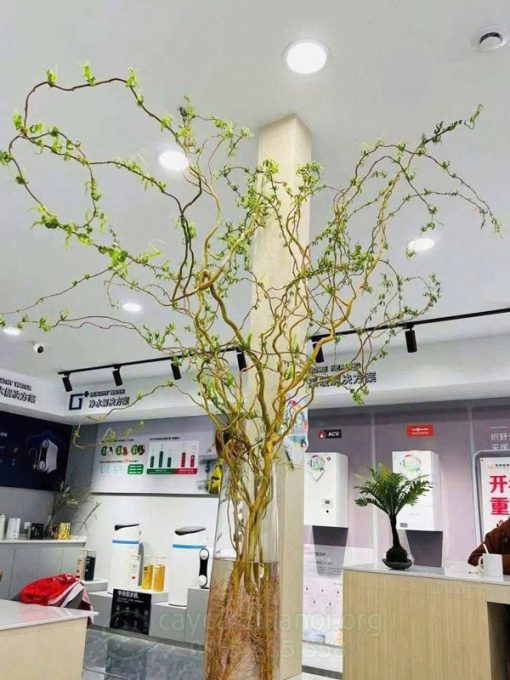 Cành salix cắm bình trang trí nội thát