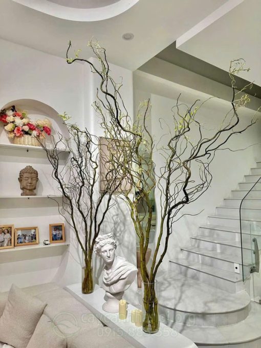 Cành Salix decor có xuất xứ từ Trung Quốc