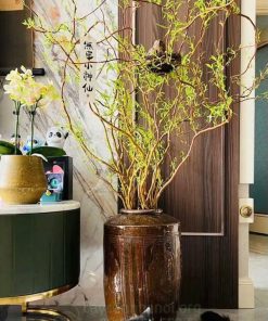 Chậu salix cắt cành trang trí đẹp