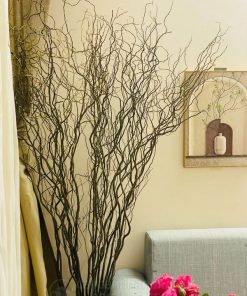 Cành Salix trang trí nội thất phòng khách