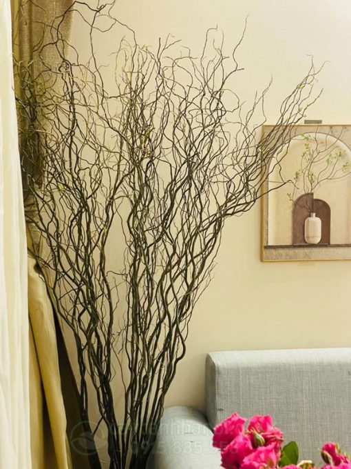 Cành Salix trang trí nội thất phòng khách
