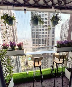 Lựa chọn cây treo ban công chịu nắng