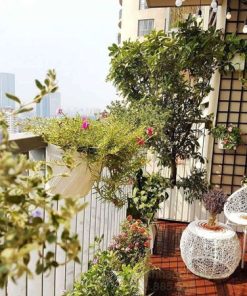 Chọn các chậu hoa ban công đẹp decor ban công
