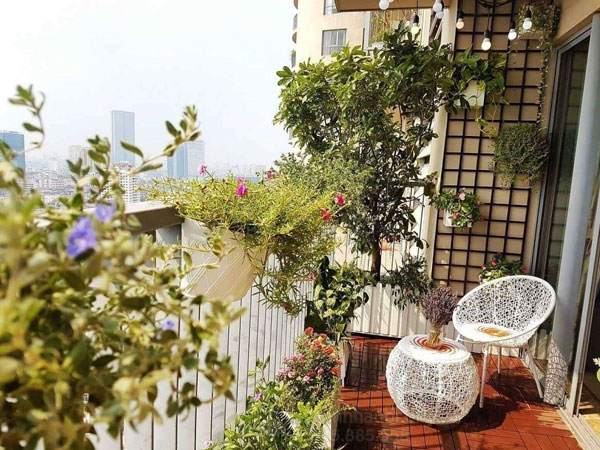 Chọn các chậu hoa ban công đẹp decor ban công