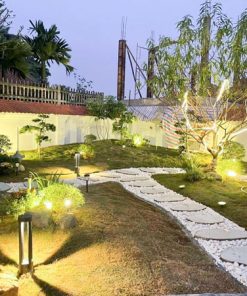 Cung cấp dịch vụ trồng chăm sóc cắt tỉa cây xanh tại Hà Nội