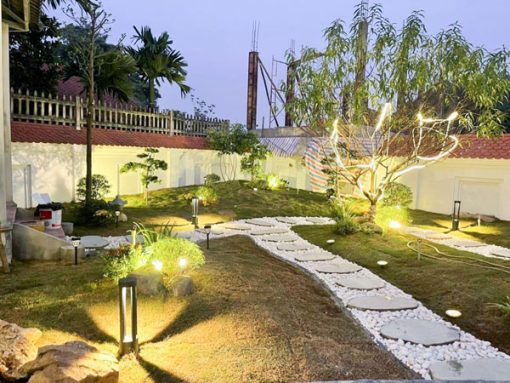 Cung cấp dịch vụ trồng chăm sóc cắt tỉa cây xanh tại Hà Nội