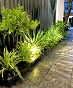 Dịch vụ cắt tỉa cây xanh định kỳ