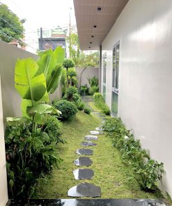 Dịch vụ chăm sóc cắt tỉa cây xanh tại nhà