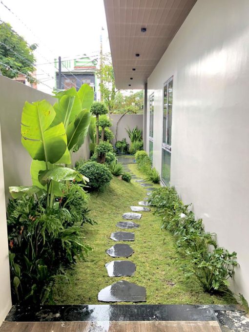 Dịch vụ chăm sóc cắt tỉa cây xanh tại nhà