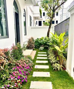 Dịch vụ chăm sóc cây cảnh sân vườn nhà phố