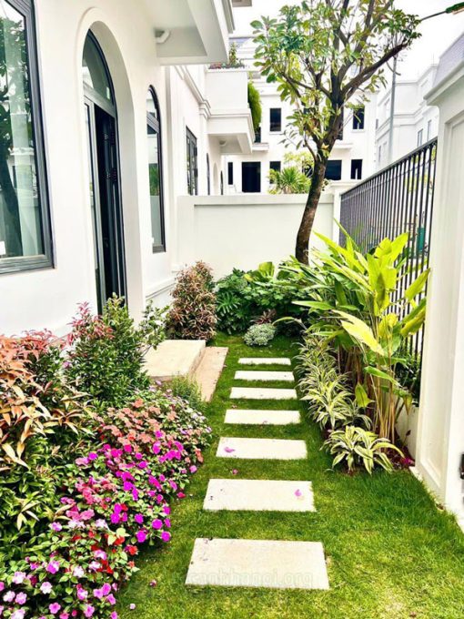 Dịch vụ chăm sóc cây cảnh sân vườn nhà phố