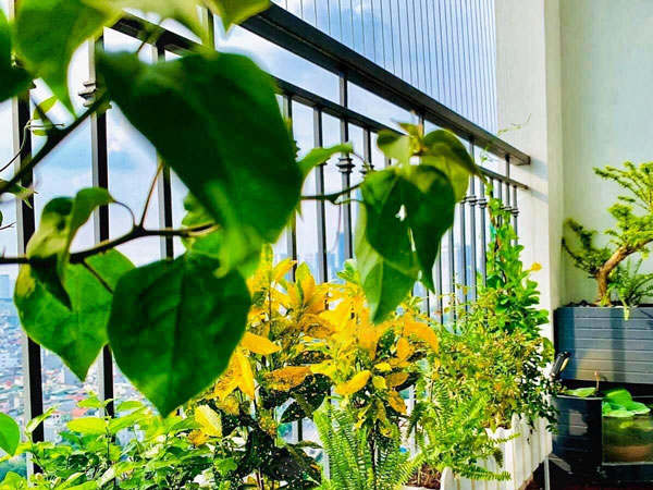 Dịch vụ thiết kế ban công chung cư nhỏ đẹp