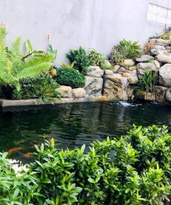 Dịch vụ trồng chăm sóc cây cảnh sân vườn