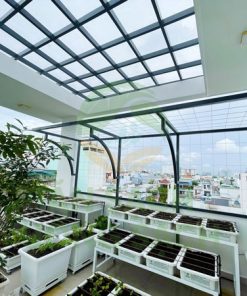 Dịch vụ trồng chăm sóc vườn rau sạch trồng ban công