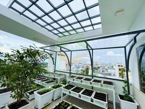Dịch vụ trồng chăm sóc vườn rau sạch trồng ban công