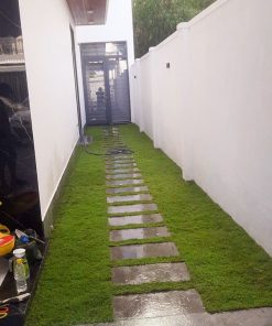 Dịch vụ trồng cỏ lối đi sân vườn