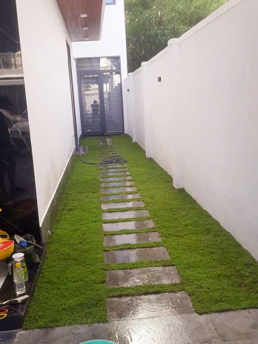 Dịch vụ trồng cỏ lối đi sân vườn