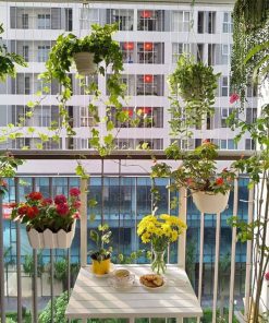 hoa treo ban công chịu nắng