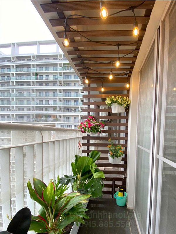 Lựa chọn cây cảnh dễ trồng làm ban công