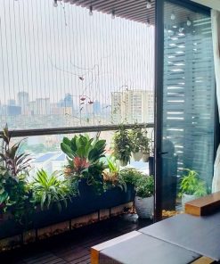 Trồng cây ở ban công chung cư đẹp