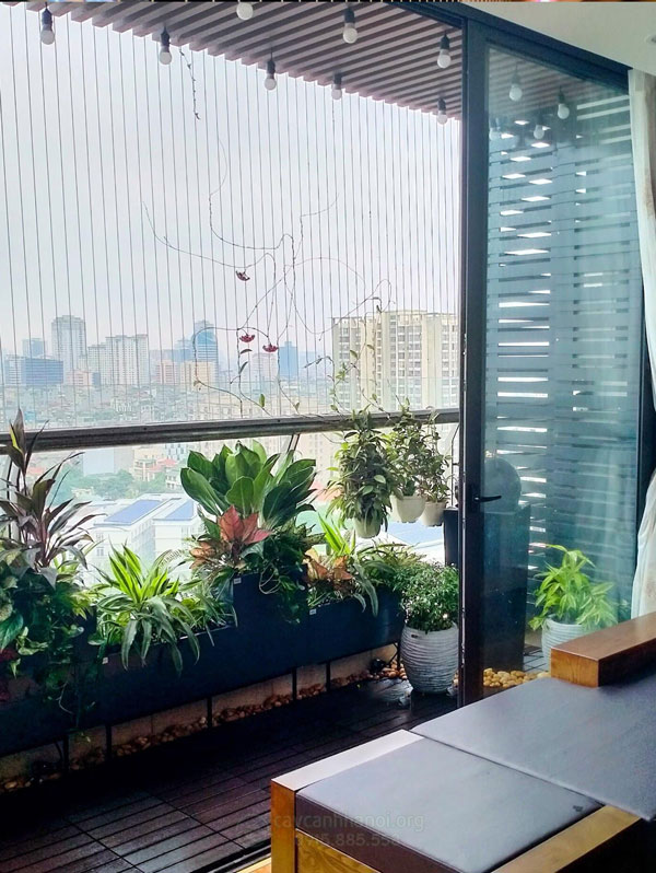 Trồng cây ở ban công chung cư đẹp
