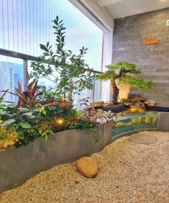 Tạo hồ cá ban công (bể cá tiểu cảnh ban công) đẹp