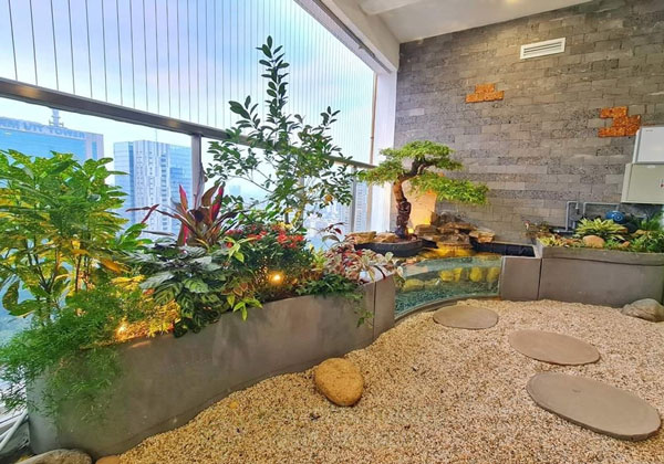 Tạo hồ cá ban công (bể cá tiểu cảnh ban công) đẹp