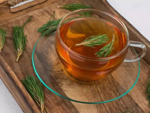 Trà thông đen cho người cao tuổi