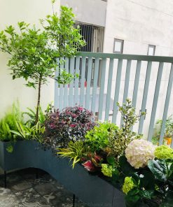 Trang trí vườn ban công hướng đông đẹp