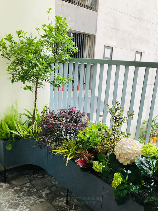 Trang trí vườn ban công hướng đông đẹp