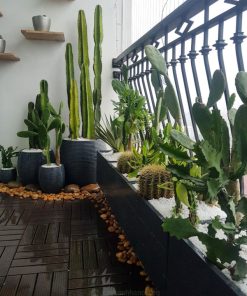 Trồng cây ban công theo phong cách tối giãn