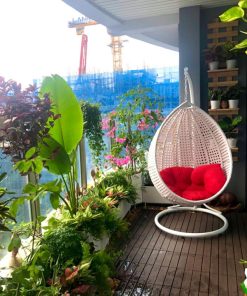 Lựa chọn cây dễ trồng cho hướng Đông phong thủy