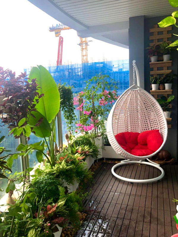 Lựa chọn cây dễ trồng cho hướng Đông phong thủy