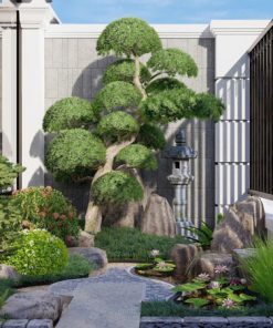 Cung cấp dịch vụ thiết kế thi công cảnh quan sân vườn đẹp